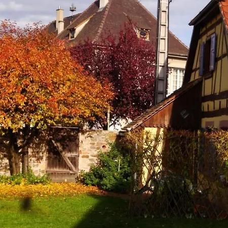 Sonneblueem Un Pfefferminz By Interhome * Horbourg