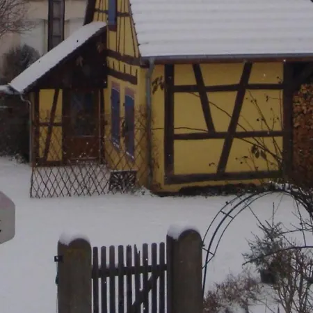 Sonneblueem Un Pfefferminz By Interhome Nyaraló Horbourg