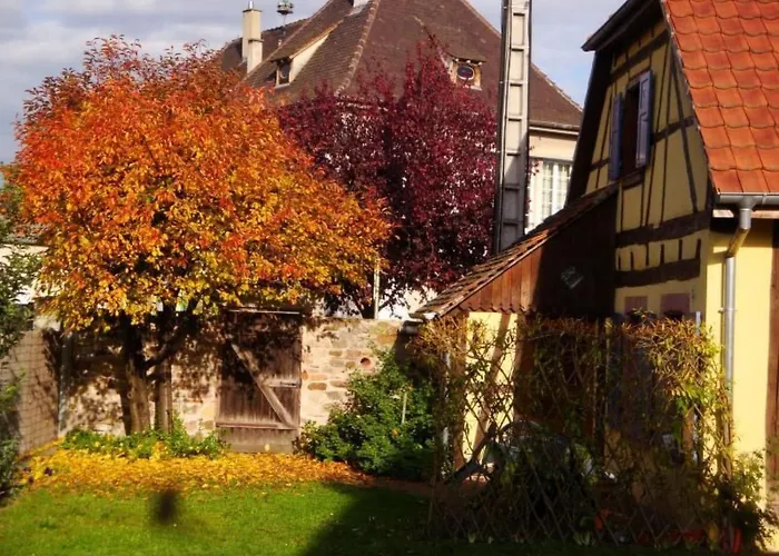 Sonneblueem Un Pfefferminz By Interhome * Horbourg