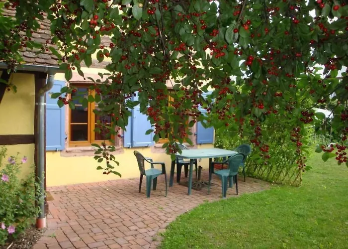 Sonneblueem Un Pfefferminz By Interhome Nyaraló