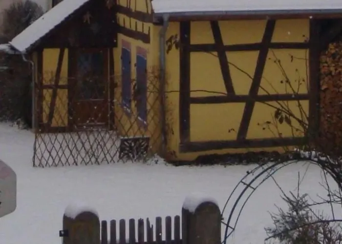 Sonneblueem Un Pfefferminz By Interhome Feriehus Horbourg